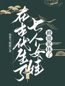 被婆家休了有男主吗